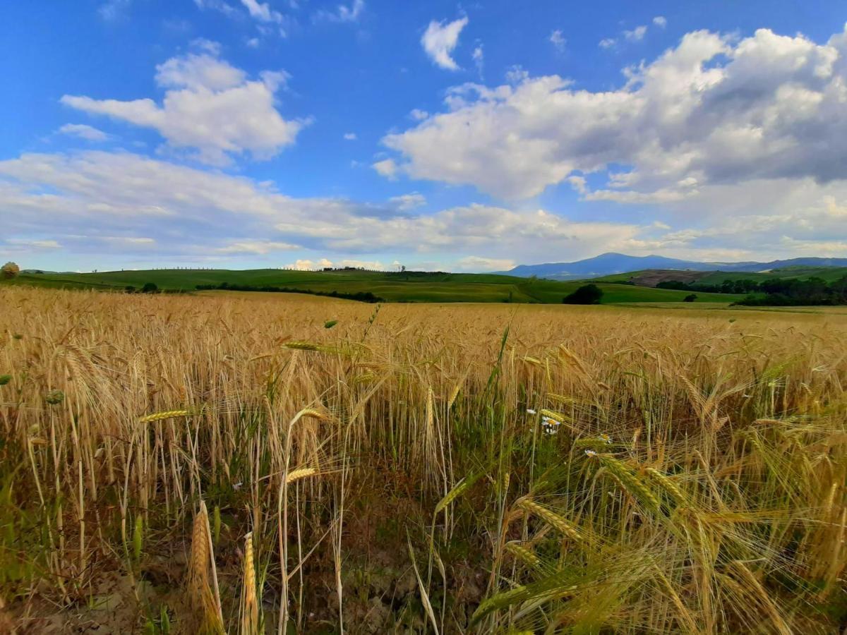 Apartamento La Corte Antica Pienza Exterior foto