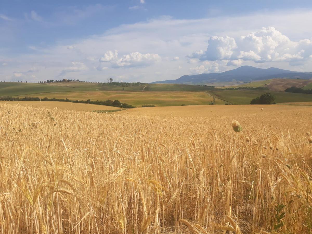 Apartamento La Corte Antica Pienza Exterior foto