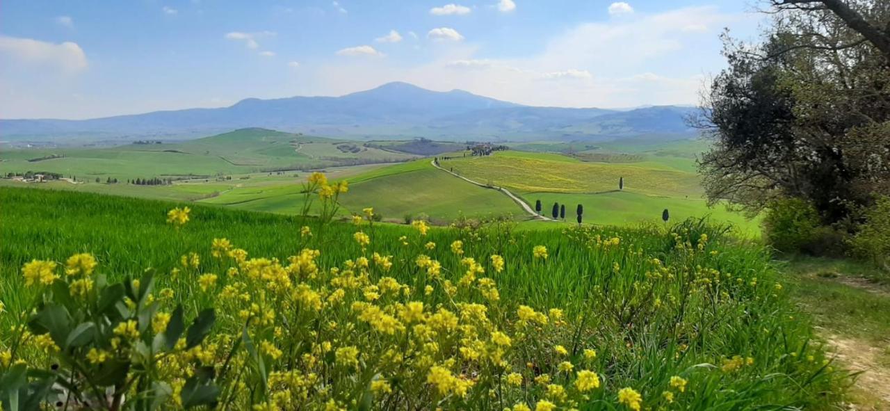 Apartamento La Corte Antica Pienza Exterior foto